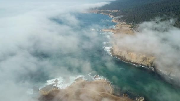 Aerial View of Fog Drifting Over California Coast — Stock Video