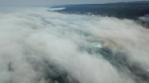 Kuzey Kaliforniya sahil üzerinde sürüklenen sis havadan görünümü — Stok video