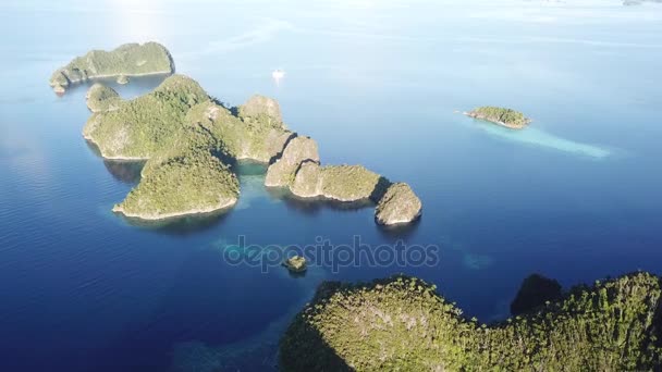 Filmagem aérea de belas ilhas em Raja Ampat — Vídeo de Stock