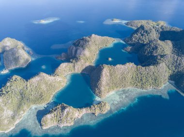 Raja Ampat dramatik kireçtaşı adalar sağlıklı, sığ resifleri ile çevrilidir. Bu bölge Doğu Endonezya deniz biyoçeşitliliği nedeniyle Mercan Üçgeni kalbinde olarak bilinir.
