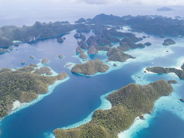 Dramatiska Kalksten Öar Wayag Raja Ampat Omges Frisk Grunt Korallrev — Stockfoto