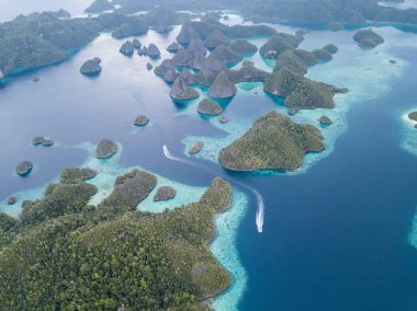 Wayag, Raja Ampat dramatik kireçtaşı adalar sağlıklı, sığ resifleri ile çevrilidir. Doğu Endonezya bu uzak bölgede deniz biyoçeşitliliği nedeniyle Mercan Üçgeni kalbinde olarak bilinir.