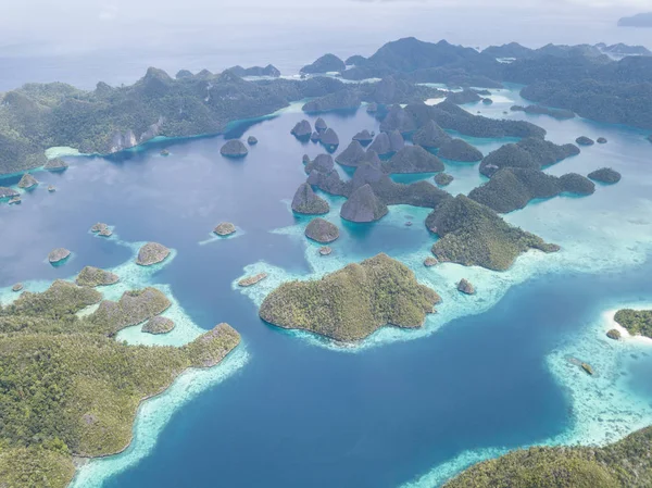 Dramatické Vápencové Ostrovy Wayag Raja Ampat Jsou Obklopeny Zdravé Mělké — Stock fotografie