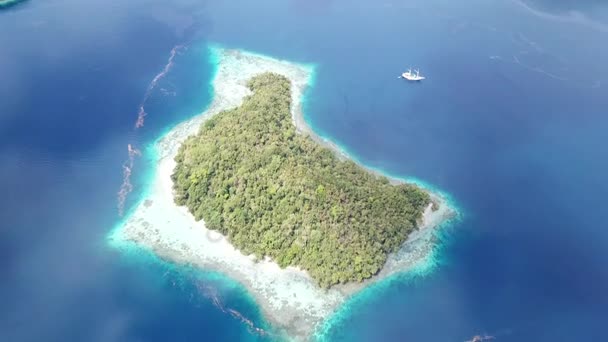 Veduta aerea dell'isola tropicale e della piccola nave — Video Stock