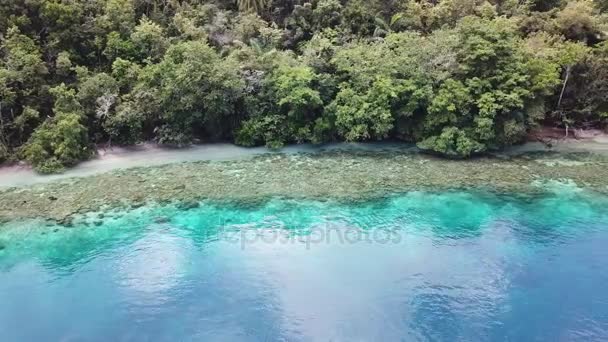 Luchtfoto beelden van randen Reef en het tropische Stille Oceaan eiland — Stockvideo