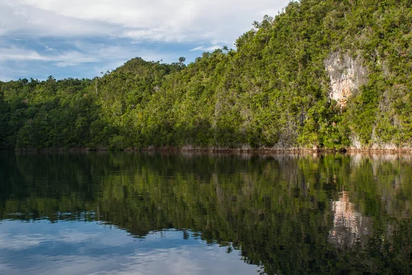 Robusta Kalksten Öar Omger Lugn Vacker Tropiska Lagunen Raja Ampat — Stockfoto