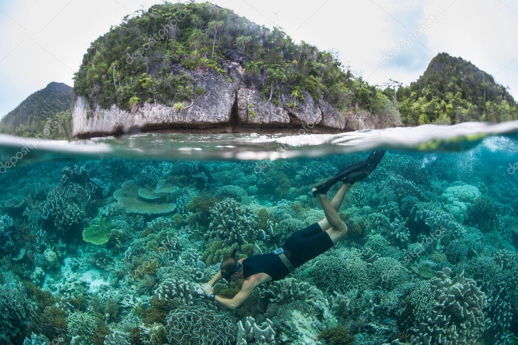A free diver explores a shallow coral reef near a remote island in Raja Ampat, Indonesia. This tropical region is home to extraordinary marine biodiversity.