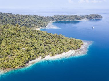 Raja Ampat, Endonezya yağmur ormanları ile kaplı bir ada kenarı boyunca güzel bir mercan kayalığı büyür. Bu uzak bölgede inanılmaz deniz biyoçeşitliliği için ünlüdür.