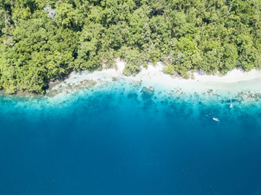 Berrak suları ve mercan bir plaj ve rainforest Raja Ampat, Endonezya uzak bir adada fringe. Bu uzak bölgede inanılmaz deniz biyoçeşitliliği için ünlüdür.