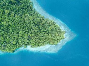 Raja Ampat, Endonezya bir yağmur ormanı kaplı Adası kenarı boyunca güzel bir mercan kayalığı büyür. Bu uzak bölgede inanılmaz deniz biyoçeşitliliği için ünlüdür.
