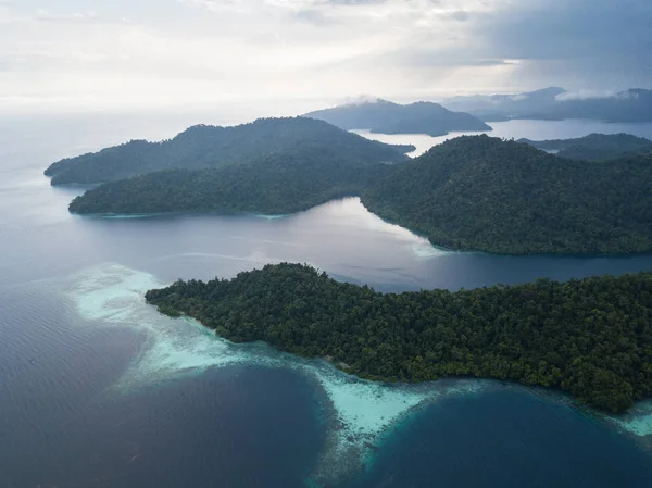 Krásné Korálové Útesy Rostou Podél Okraje Mnoha Tropických Ostrovů Raja — Stock fotografie