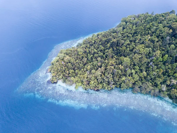 在印度尼西亚的 Ampat 一个健康的珊瑚礁沿着雨林覆盖的岛屿的边缘生长 这个偏远地区以其令人难以置信的海洋生物多样性而闻名 — 图库照片