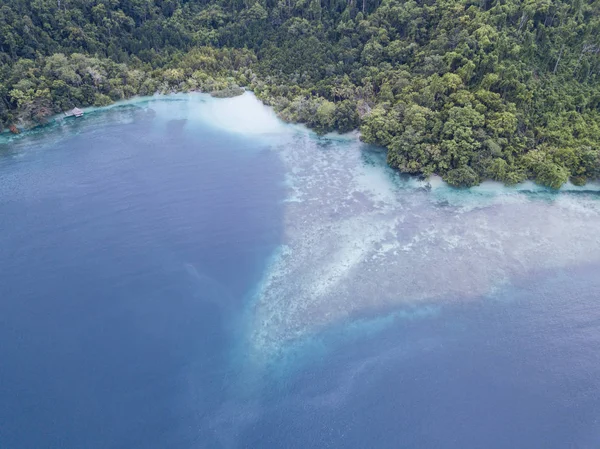 Beautiful Coral Reef Grows Edge Island Covered Rainforest Raja Ampat — Stock Photo, Image