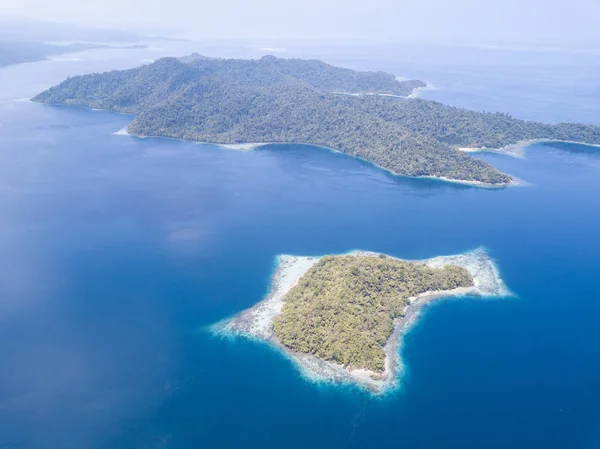 Zdravých Korálových Útesů Rostou Podél Okraje Mnoha Tropických Ostrovů Raja — Stock fotografie