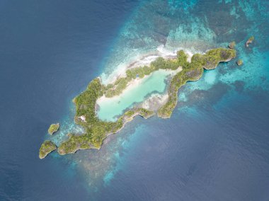 Raja Ampat, Endonezya inanılmaz bir kireçtaşı ada kenarı boyunca sağlıklı bir mercan kayalığı büyür. Bu uzak bölgede inanılmaz deniz biyoçeşitliliği için ünlüdür.