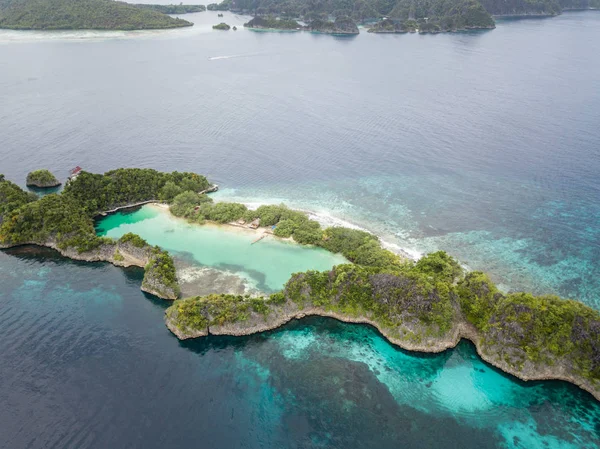 Krásné Korálové Útesy Lemující Vápencový Ostrov Raja Ampat Indonésie Tento — Stock fotografie