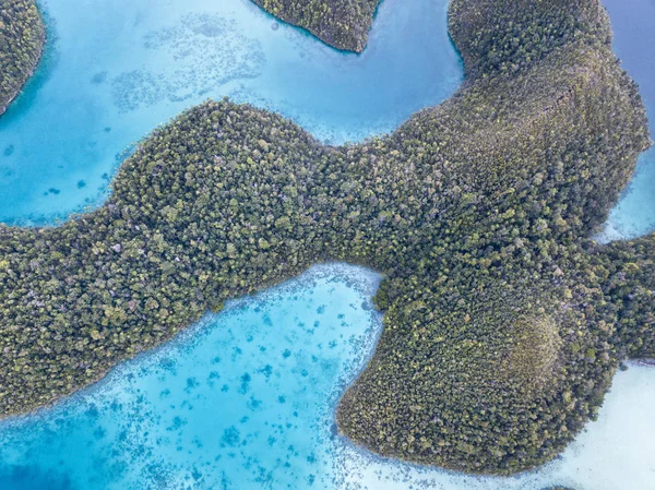 석회암 Wayag Ampat 인도네시아에 화려한 라군에서 지역에는 그것의 놀라운 다양성에 — 스톡 사진