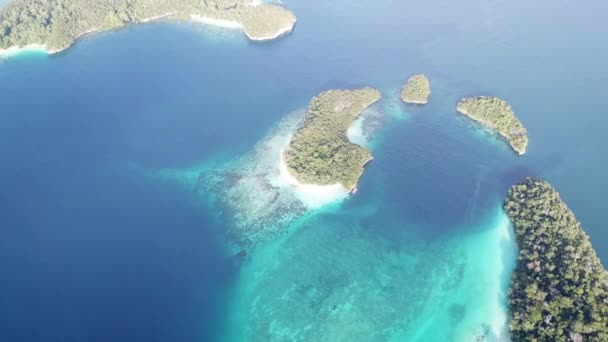 Vista aérea das ilhas tropicais e recifes em Raja Ampat — Vídeo de Stock