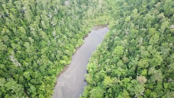 Vista aérea del lago marino en Raja Ampat — Vídeos de Stock