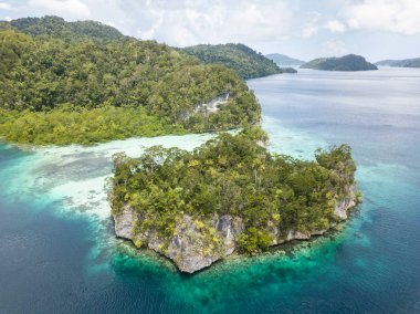 Bir güzel kireç taşı ada Raja Ampat, Endonezya bir sağlıklı coral reef tarafından saçaklı. Bu uzak, tropikal bölge inanılmaz deniz biyoçeşitliliği için ünlüdür.