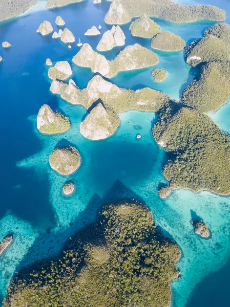 Pięknych Wapiennych Wysp Wzrośnie Wspaniałe Laguny Wayag Raja Ampat Indonezja — Zdjęcie stockowe