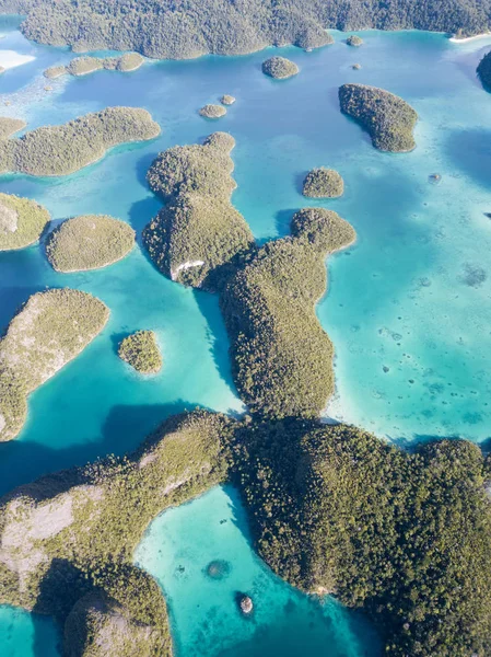 Pięknych Wapiennych Wysp Otaczają Wspaniałe Laguny Wayag Raja Ampat Indonezja — Zdjęcie stockowe