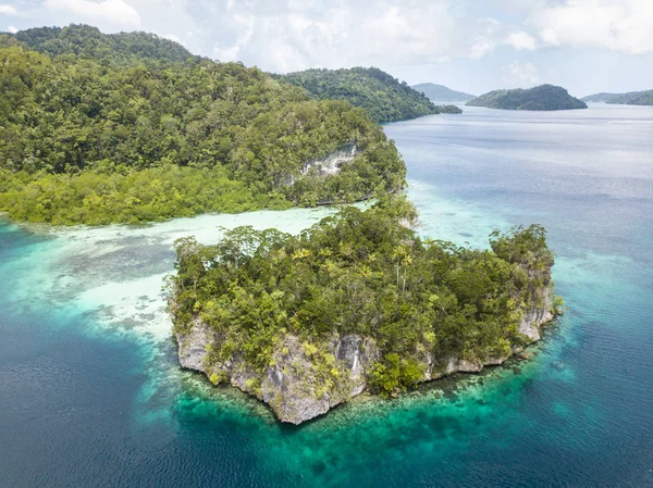 美しい石灰岩島は Raja Ampat インドネシアで健全なサンゴ礁に縁取られたです このリモートの熱帯地域は 信じられないほどの海洋生物多様性のために有名 — ストック写真