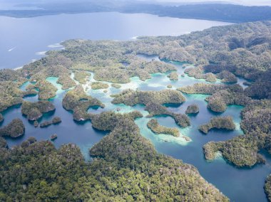 Güzel bir tropik lagün Raja Ampat, Endonezya, muhteşem deniz manzarası kireçtaşı Adaları çevrilidir. Bu benzersiz bölge en iyi bilinen deniz biyolojik çeşitlilik onun geniş bir dizi için.