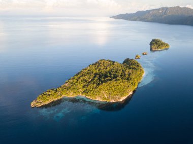 Güzel bir tropik ada Raja Ampat, Endonezya Ekvator deniz manzarası sakin denizlerde çevrilidir. Bu benzersiz bölge en iyi bilinen deniz biyolojik çeşitlilik onun geniş bir dizi için.