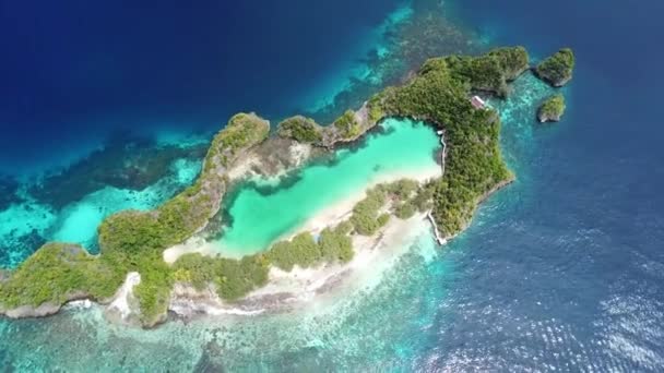 Luchtfoto van het eiland en lagune in Raja Ampat — Stockvideo