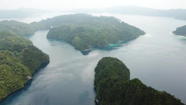 Images Aériennes Des Îles Dans La Baie D'alyui, Raja Ampat — Video