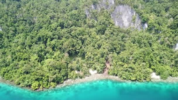 Aerial View of Limestone Island and Fringing Reef — Stock Video