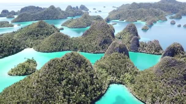 Εναέρια πλάνα από ροκ νησιά Wayag, Raja Ampat — Αρχείο Βίντεο