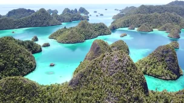 Wayag、Raja Ampat で石灰岩の島の空中映像 — ストック動画