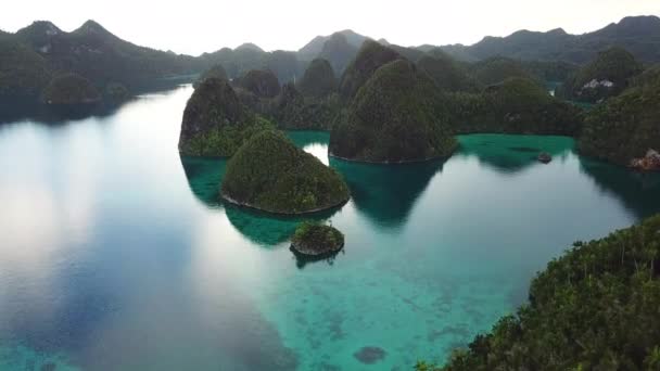 Flygfoto över lugn lagun och kalksten öar i Wayag, Raja Ampat — Stockvideo