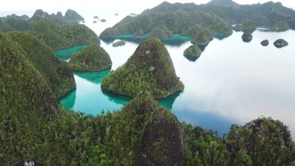 İnanılmaz ada ve Wayag, Raja Ampat gölünde havadan görünümü — Stok video