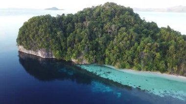 Raja Ampat Resifi'nde Fringing ve Rock Island havadan görünümü