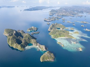 Raja Ampat Misool uzak kireçtaşı adalar sakin denizler ve sağlıklı resifleri tarafından çevrili. Bu tropikal bölge deniz biyoçeşitliliği nedeniyle Mercan Üçgeni kalbinde olarak bilinir.