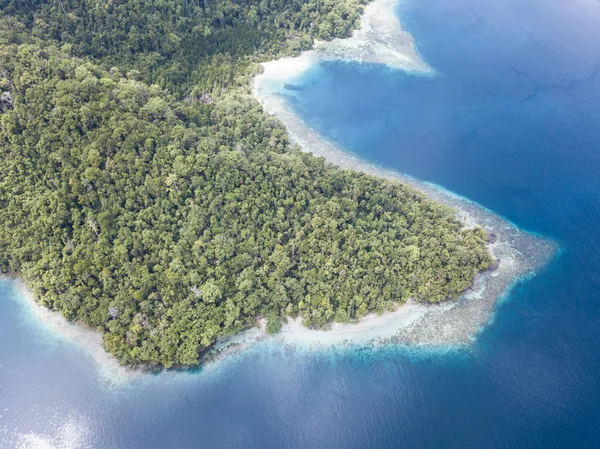 Hermosas Islas Piedra Caliza Rodeadas Arrecifes Coral Saludables Existen Todo —  Fotos de Stock