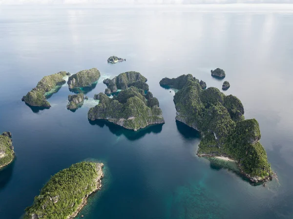 The remote limestone islands of Misool in Raja Ampat are surrounded by calm seas and healthy reefs. This tropical region is known as the heart of the Coral Triangle due to its marine biodiversity.