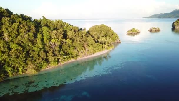 Luftaufnahme der wunderschönen tropischen Inseln in raja ampat — Stockvideo