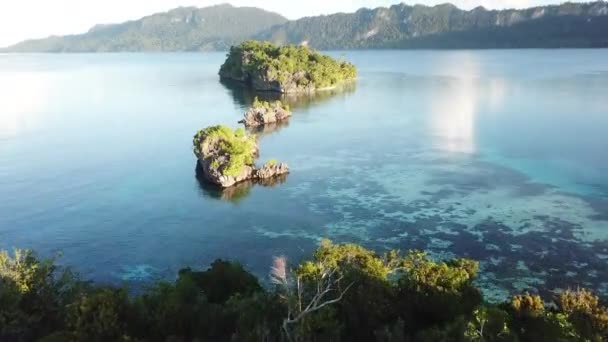 Letecký pohled na krásné ostrovy a útesy v Raja Ampat — Stock video
