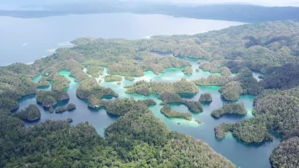 Luchtfoto van het landschap van het eiland in Raja Ampat — Stockvideo
