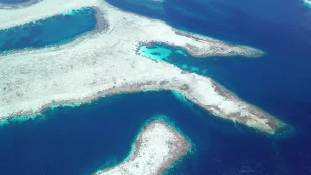 Vue Aérienne des Récifs Coralliens à Raja Ampat — Video