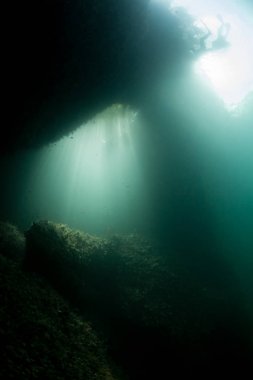 Güneş ışığı filtrelerden Raja Ampat su altında bir mağarada. Bu tropikal bölge deniz biyoçeşitliliği nedeniyle Mercan Üçgeni kalbinde olarak bilinir.