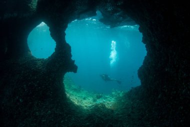 Bir tüplü dalgıç Raja Ampat, Endonezya bir erozyona uğramış coral reef araştırıyor. Bu şaşırtıcı bölge muhteşem deniz biyoçeşitliliği için bilinen.