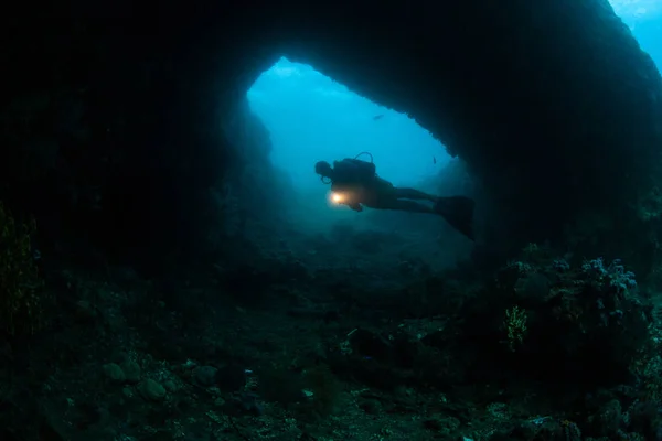 スキューバ ダイビングは Raja Ampat インドネシアで深い洞窟を探る この驚くべき地域がその壮大な海洋生物の多様性で知られています — ストック写真