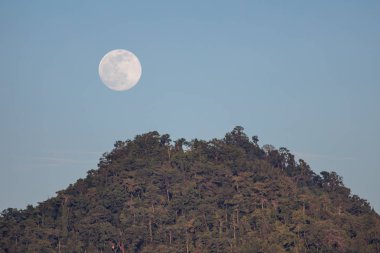 Dolunay Raja Ampat, Endonezya bir orman kaplı kireçtaşı ada üzerinde yükselir. Birçok deniz türlerinin yumurtlama davranışını etkileyebilir ay periyodik olarak bir çeşit var.