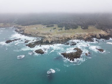 Pasifik Okyanusu'nun soğuk sularına karşı doğal Kuzey California sahil şeridi Sonoma yıkayın. San Francisco, kuzeyinde güzel yörenin ünlü otoyol bir yolu ile erişilemez.