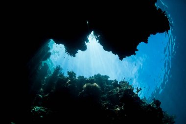 Raja Ampat, Endonezya bir mercan kayalığı çatlak aracılığıyla ışık parlar. Bu tropikal bölge deniz biyoçeşitliliği nedeniyle Mercan Üçgeni kalbinde olarak bilinir.